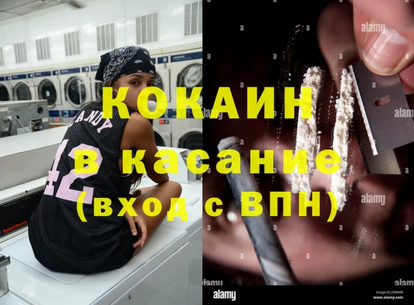 бошки Богданович