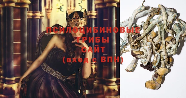 бошки Богданович