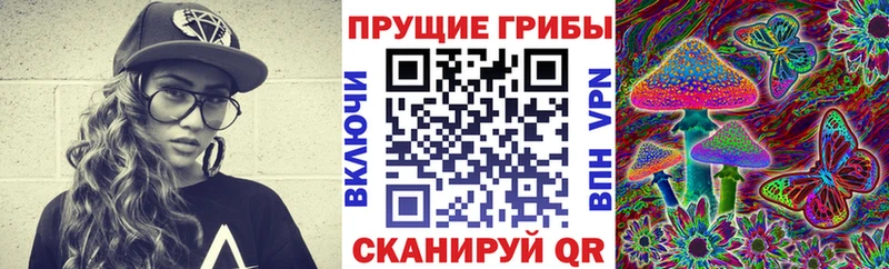 гидра вход  Малая Вишера  Галлюциногенные грибы прущие грибы 
